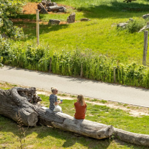 3 dagen Zuid-Limburg incl. ontbijt diner & lunchpakket