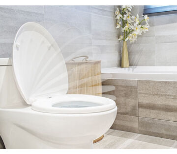 Upgrade je badkamer met de Lifa Bathing Soft Close WC Bril!