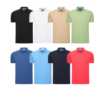 De Norlund Polo Paladin.