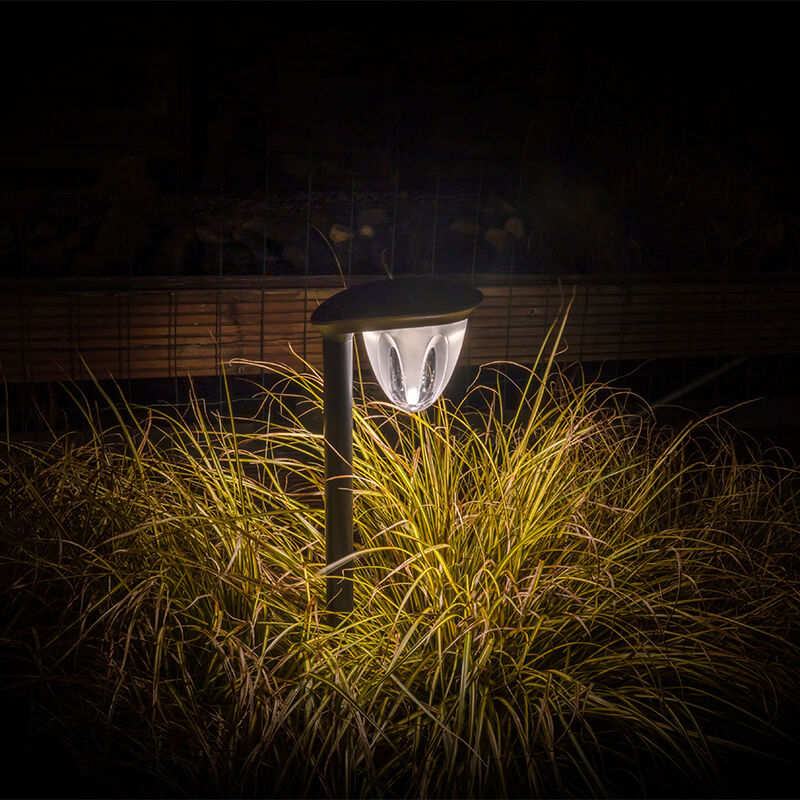 Een van de Juno Tuinlampen geeft licht in een donkere tuin. 